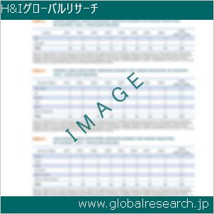 グローバルリサーチ調査レポートのイメージ